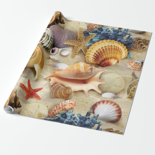 Papier Cadeau Coques de mer sur la plage (Déroulé)