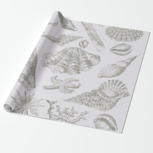 Papier Cadeau Coquillage gris sauge doux croquis Antique Nature
