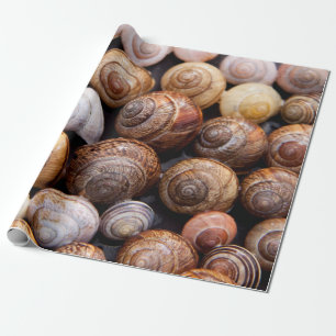 Papier Cadeau Coquillages d'escargot