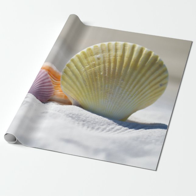 Papier Cadeau Coquillages en sable blanc (Déroulé)