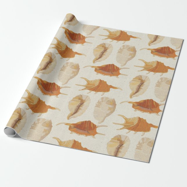 Papier Cadeau Coquillages texturés (Déroulé)