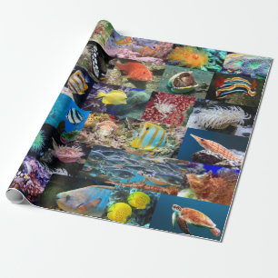 Papier Cadeau Coral Reef Marine Poissons et Animaux Photos Natur