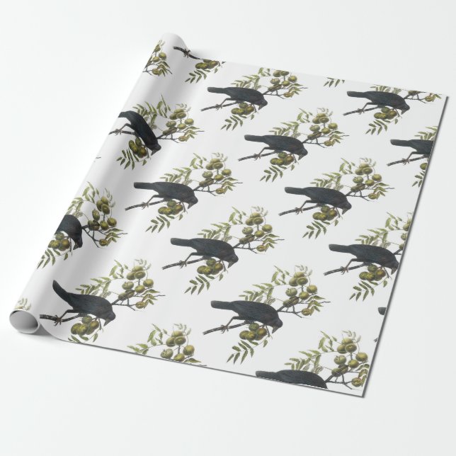 Papier Cadeau Corneille américaine par Audubon (Déroulé)