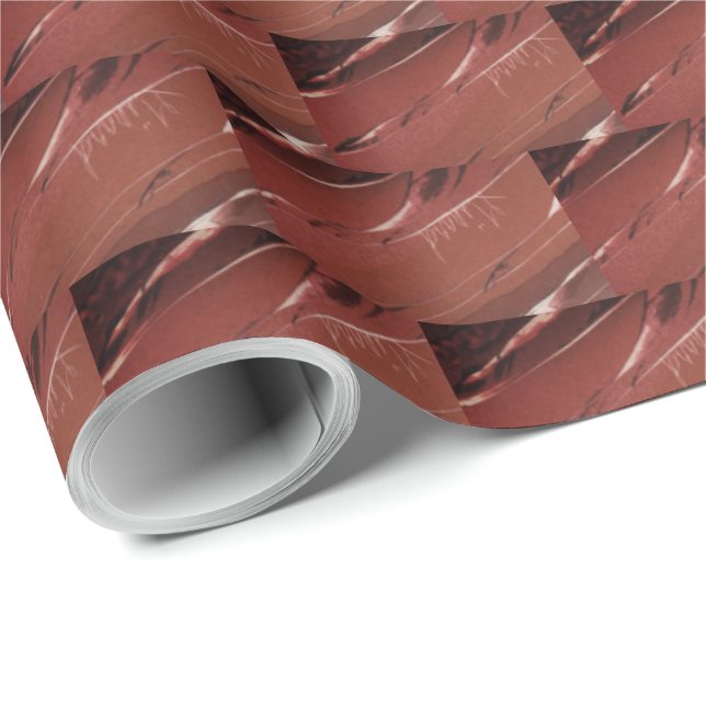 Papier Cadeau Couleurs de briques (Coin rond)