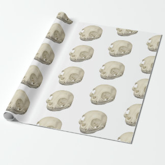 Papier Cadeau Crâne de chat