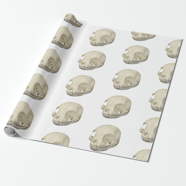 Papier Cadeau Crâne de chat (Déroulé)