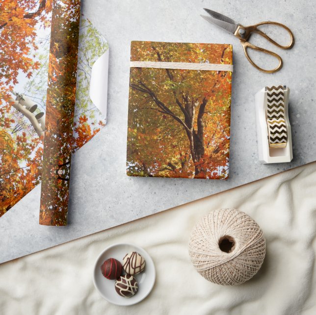 Papier Cadeau Création de carte d'arbre de érable de saison auto (Artisanat)