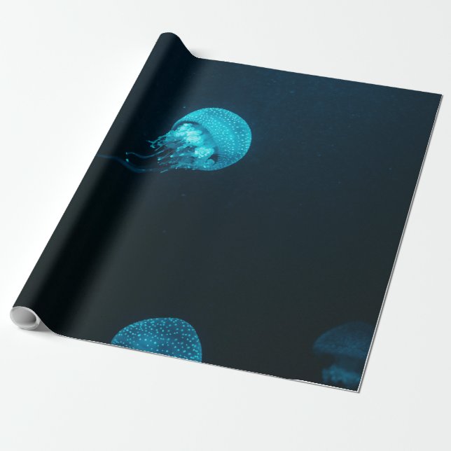 Papier Cadeau Créatures marines (Déroulé)