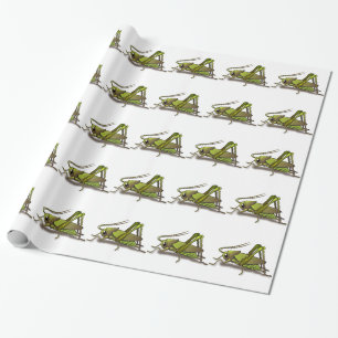 Papier Cadeau Cricket vert