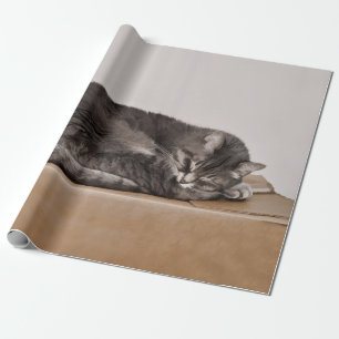 Papier Cadeau Cuisine Tabby Cat Gris Dormir Sur La Boîte