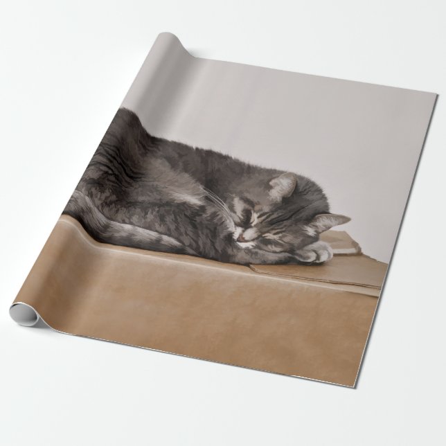 Papier Cadeau Cuisine Tabby Cat Gris Dormir Sur La Boîte (Déroulé)