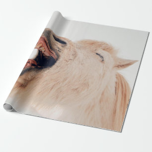 PAPIER CADEAU CUTE LAMA ALPACA RIRE