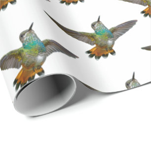 Papier Cadeau Cute Little Hummingbird Bird Nature Faune