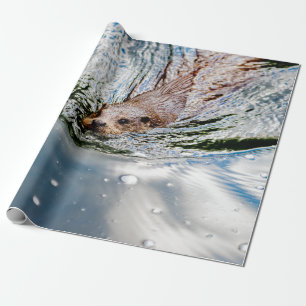PAPIER CADEAU CUTE SEAL SWIMMING