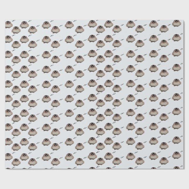 Papier Cadeau Cute Sleepy Owl Pattern Wrapping Paper (Plat)