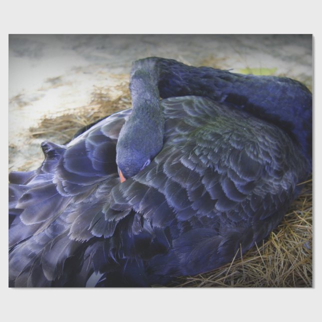 Papier Cadeau Cygne de sommeil (Plat)