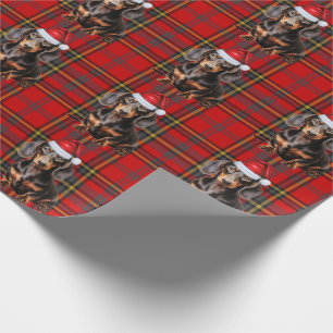 Papier Cadeau Dachshund à poil ras plaid rouge de Noël