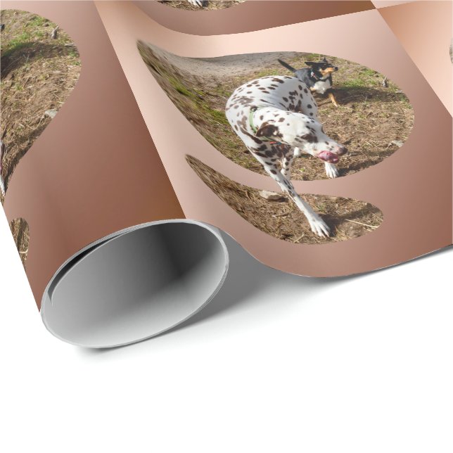 Papier Cadeau Dalmatien Brown, (Coin rond)