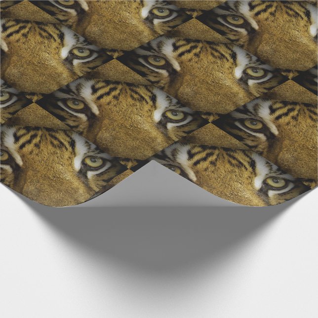 Papier Cadeau Dans les yeux d'un tigre (Coin)