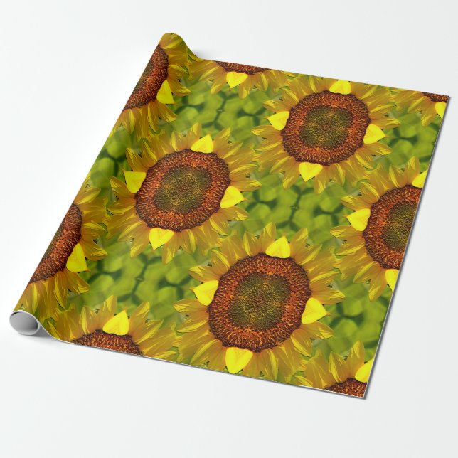 Papier Cadeau Danser des tournesols... (Déroulé)