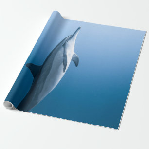 Papier Cadeau Dauphin de mer mignonne