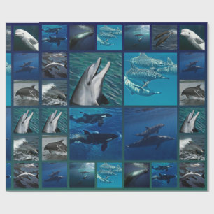 Papier Cadeau Dauphins et collage de baleines