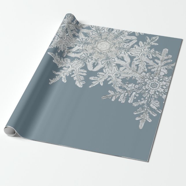 PAPIER CADEAU DE NOËL BENTLEY SNOWFLAKES (Déroulé)
