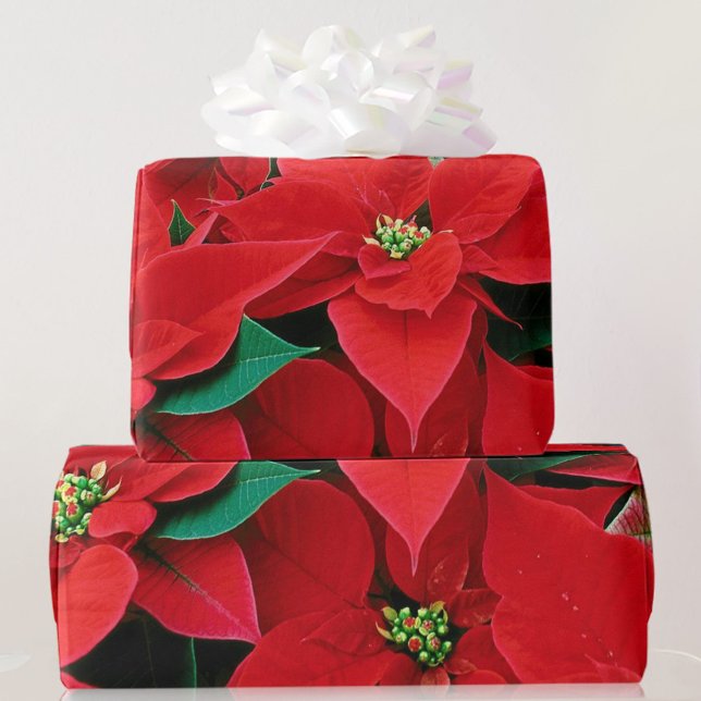 Papier cadeau de Noël Red Poinsettia (Créateur téléchargé)