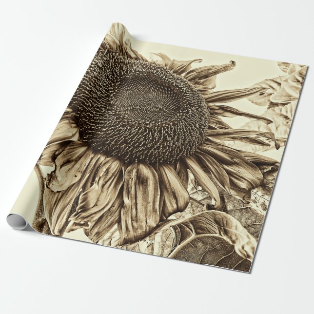 Papier Cadeau Découpage à l'ancienne de Sunflower Sepia Tone Vin (Déroulé)