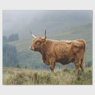 Papier Cadeau Découpage du matin de la vache de Highland