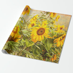 Papier Cadeau Dégagement du terrain de tournesol Antique Vintag
