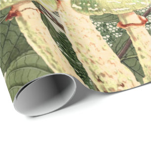 Papier Cadeau Dentelle vintage de toile de jute d'antiquité de