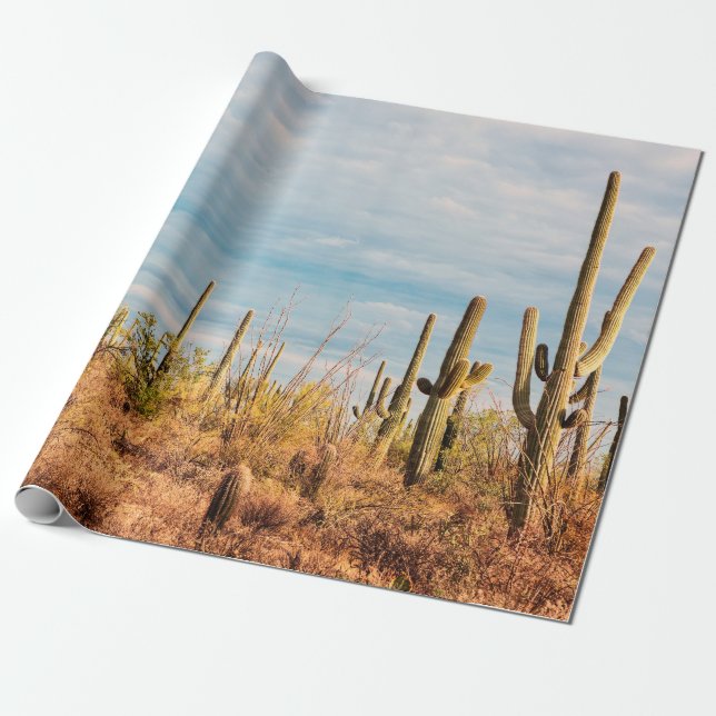 Papier Cadeau Désert avec les cactus du Saguaro (Déroulé)
