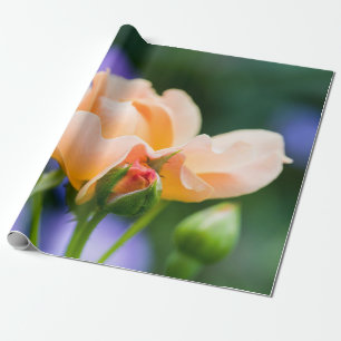 Papier Cadeau désir déployé