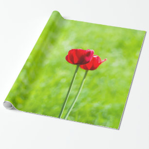 Papier Cadeau Deux fleurs de tulipe rouge