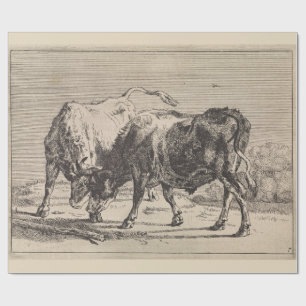 Papier Cadeau Deux taureaux de combat (par Paulus Potter)