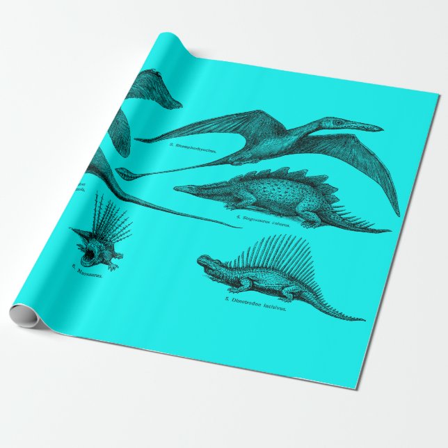 Papier Cadeau Dinosaure Vintage Illustration Dinosaures rétro (Déroulé)