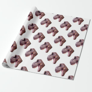 Papier Cadeau Dinosaures T-Rex