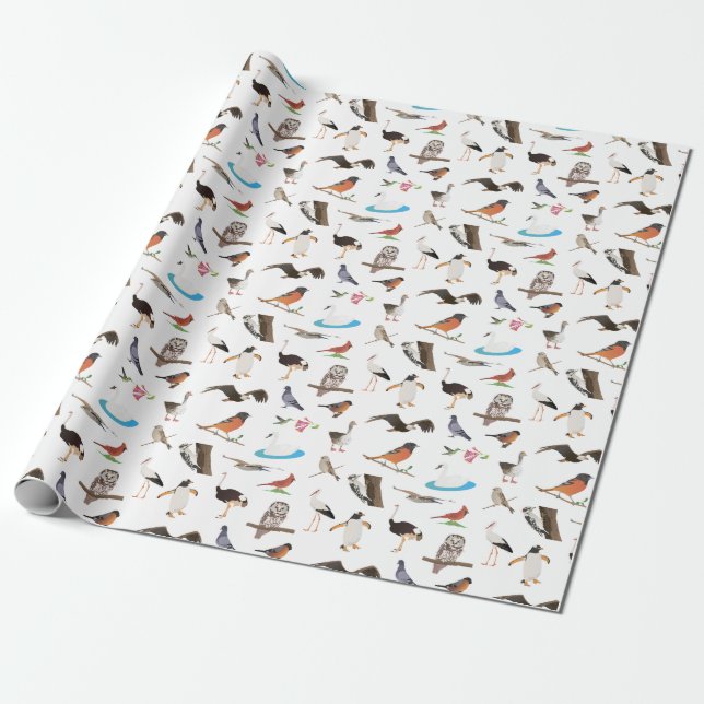 Papier Cadeau Divers oiseaux (Déroulé)
