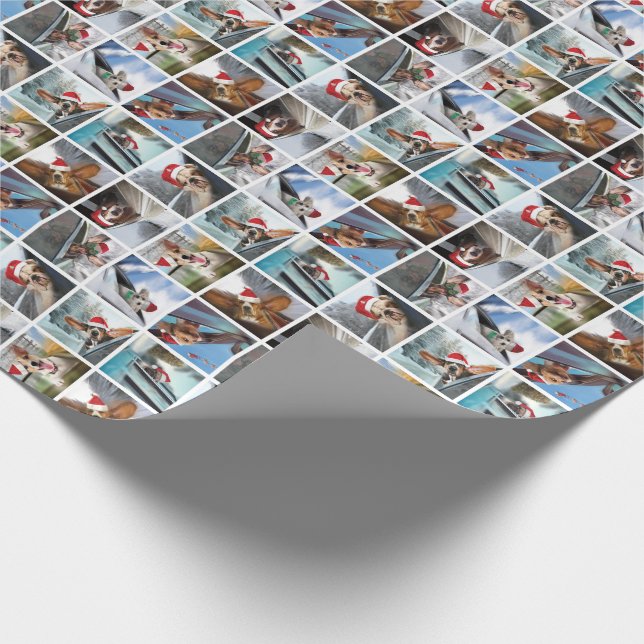 Papier Cadeau Doggie dans la fenêtre papier d'enveloppement de N (Coin)