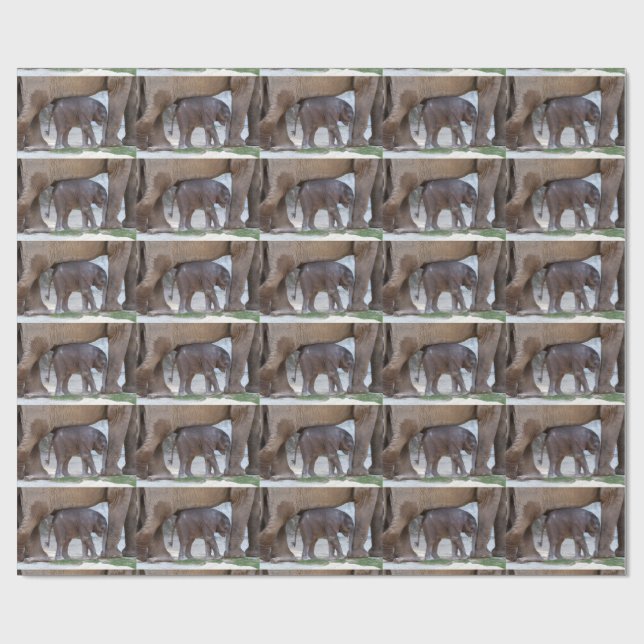 Papier Cadeau Douce Bébé Éléphant (Plat)
