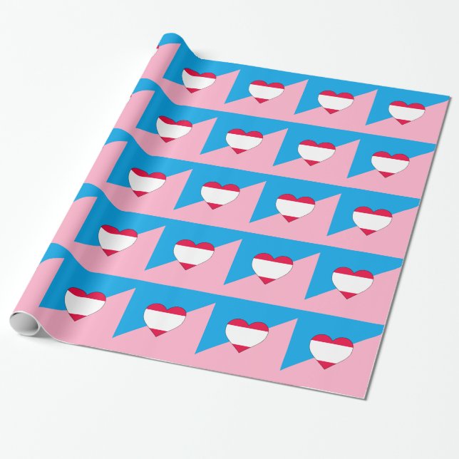 Papier Cadeau Drapeau de fierté de jeu d'âge (Déroulé)