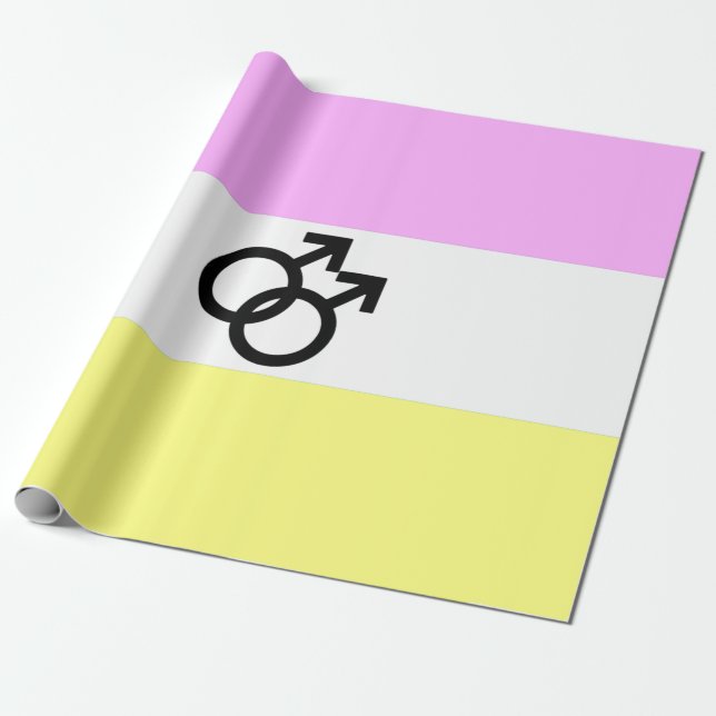 Papier Cadeau Drapeau de la Fierté Twink (Déroulé)