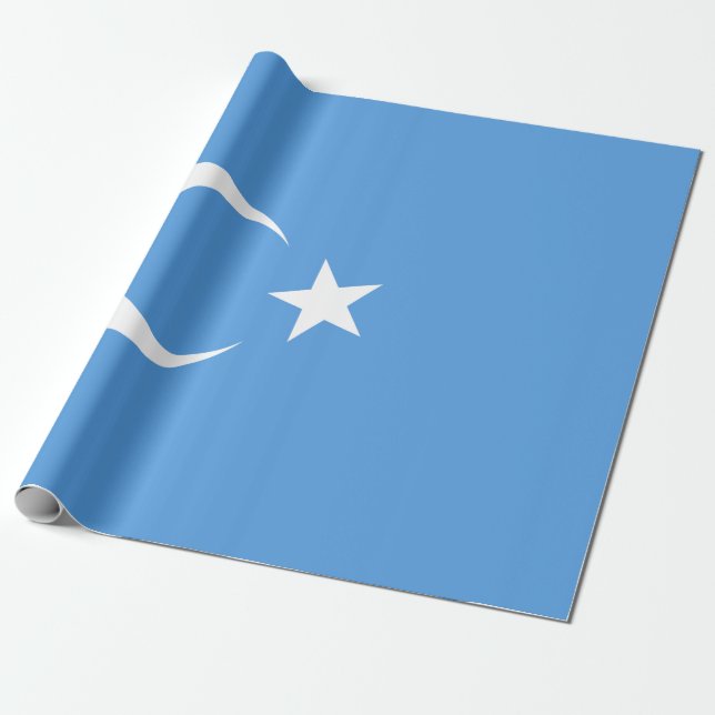 Papier Cadeau Drapeau ouïghour du Turkestan oriental (Uyghurista (Déroulé)
