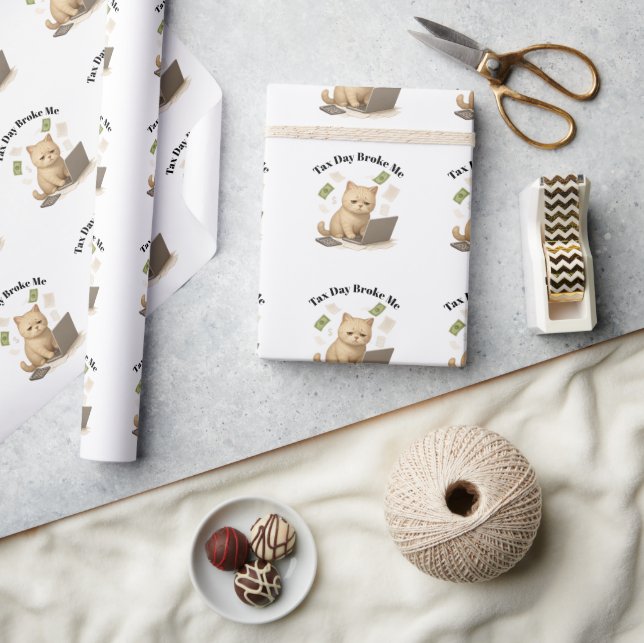 Papier Cadeau Drôle Chat Stressé Minimal Beige Jour de l'Impôt (Artisanat)