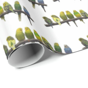 Papier Cadeau Drôle (choisir la couleur)
