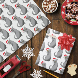 Papier Cadeau Drôle Coléreux Noël Gris Chat Fêtes Humour