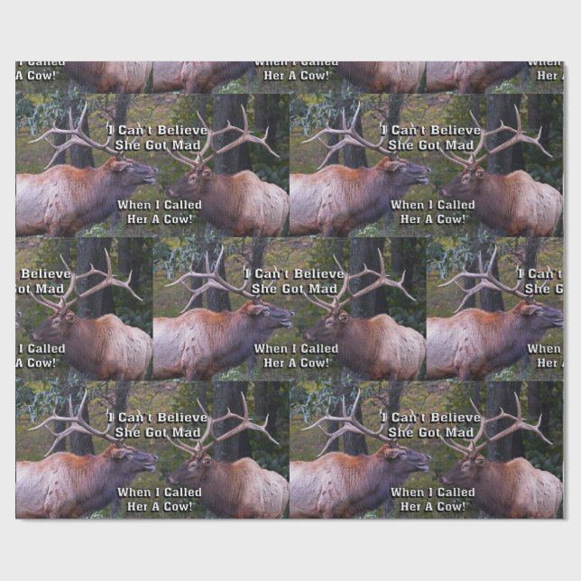 Papier Cadeau Drôle je ne peux pas croire qu'elle a obtenu la (Plat)