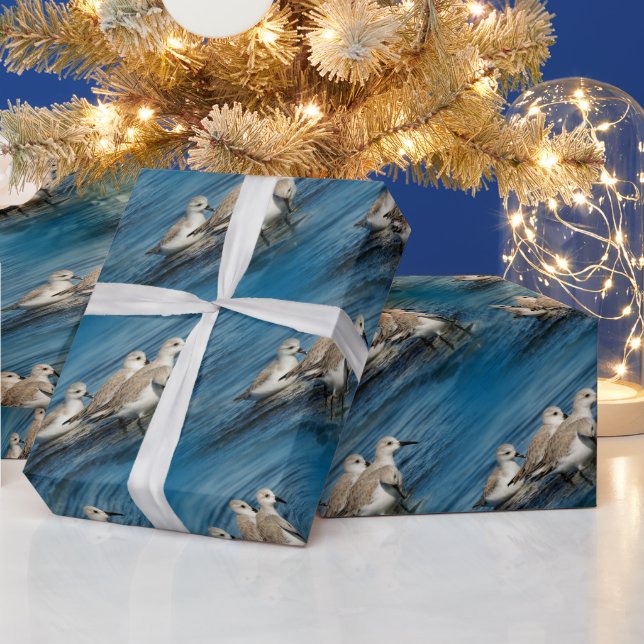 Papier Cadeau Drôle mignon 4 Sanderlings Sandpipers à la plage (Vacances)