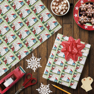Papier Cadeau Drôles de chats blancs Ornements de sapin de Noël